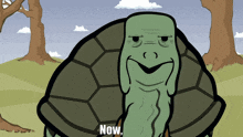 a cartoon of a turtle with the words now written below it