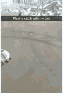 Ball Catch GIF - Ball Catch Playing Catch With My Dad GIFs