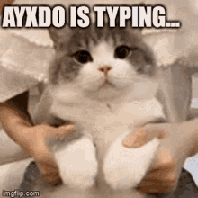 Ayxdo Is Typing House Of Bingus GIF - Ayxdo Is Typing House Of Bingus Hob GIFs