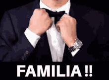 Meme Familia GIF - Meme Familia Traje GIFs
