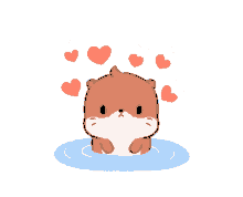 love you hearts cute otter
