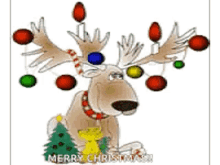 merry christmas seasons greetings reindeer happy holidays