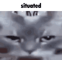 Situated Kiwimeme GIF - Situated Kiwimeme Cat GIFs