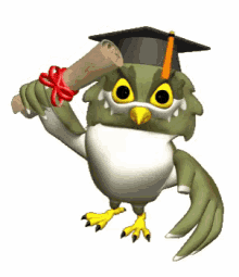 Owl Graduate GIF