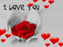 Lovely Rose GIF - Lovely Rose Hearts GIFs