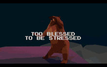 bear dance bears dancing too blessed to be stressed