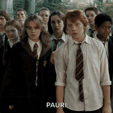 Pauri Harry GIF - Pauri Harry Potter GIFs