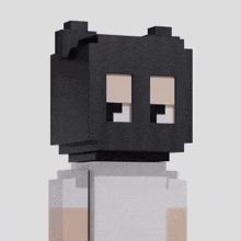 a black block with two white squares on it looks like a minecraft character