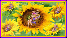 jai veer hanuman sunflower spin flower rotating