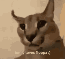 Floppa Jenny Love Floppa GIF - Floppa Jenny Love Floppa Jenny GIFs