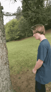 Punch Tree GIF - Punch Tree Mad GIFs