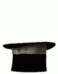 a small dog is sitting in a top hat holding flowers