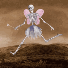 halloween skeleton funny costume fairy