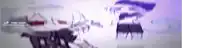 a blurry picture of a person with a purple background