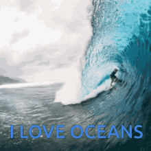 I Love The Ocean Waves GIF - I Love The Ocean Waves Surfing GIFs