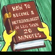metazoo metazoologist metazoo quiz metazoo mzo mzo