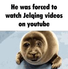 Jelqing Sad Seal GIF