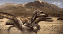 Dinosaur Revolution Dinotasia GIF - Dinosaur Revolution Dinotasia Utahraptor GIFs
