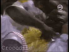 a close up of a crocodile on a tv show