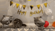 Raccoon Birthday GIF - Raccoon Birthday Balloons GIFs