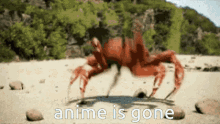 Anime Is Gone Crabrave GIF - Anime Is Gone Crabrave Anime GIFs