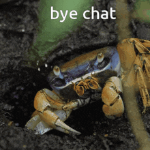 Vivelacrab Bye GIF - Vivelacrab Bye Bye Chat GIFs