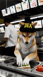 a dog wearing a hat that says dea is preparing a sandwich