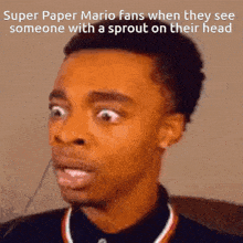 Super Paper Mario Fans Scared GIF - Super Paper Mario Fans Scared Sprout On Their Head GIFs