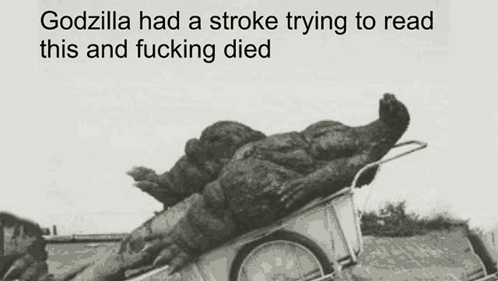 https://media.tenor.com/kNhSHmwPo9EAAAAe/godzilla-had-a-stroke-trying-to-read-this-and-fucking-died-godzilla-had-a-stroke-trying-to-read-this.png