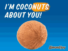Coconut Heart GIF - Coconut Heart Im Coconuts About You GIFs