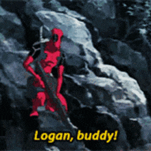 logan buddy is standing on a rock with a gun