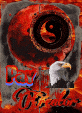 a poster with a bald eagle and a yin yang symbol with the words pay o'reator below it