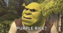 shrek from shrek is asking for purple rice