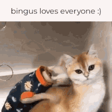 Bingus Cat GIF - Bingus Cat Love GIFs
