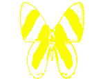 Borboleta Butterfly Sticker