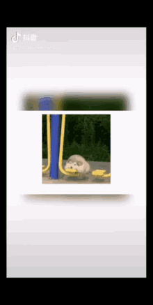a picture of a hedgehog on a playground with a blue pole in the background