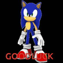 Sonic The Hedgehog Good Luck GIF
