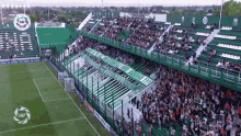 Stadium Supporter GIF