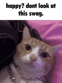 Cat Swag GIF - Cat Swag GIFs