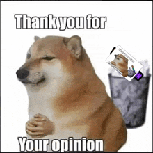 Anty Doge Opinion GIF - Anty Doge Opinion GIFs