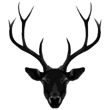 deer head