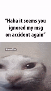 It Seems You Ignored My Msg On Accident Again Scapularboss GIF - It Seems You Ignored My Msg On Accident Again Scapularboss GIFs
