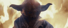 Yoda Bonk GIF - Yoda Bonk Luke GIFs