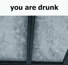 You Are Drunk Drunk GIF - You Are Drunk Drunk Alyx GIFs
