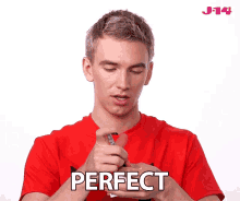 Perfect Flawless GIF - Perfect Flawless Excellent GIFs