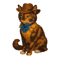 a cat wearing a sheriff 's hat and vest is sitting down