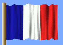 a blue white and red flag with a gold pole