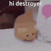 Hi Destroyer Cat Walk GIF
