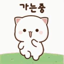 Mochi Cat GIF - Mochi Cat Vans GIFs
