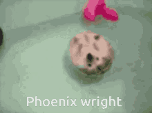 Phoenix Wright GIF - Phoenix Wright Phoenix Wright GIFs